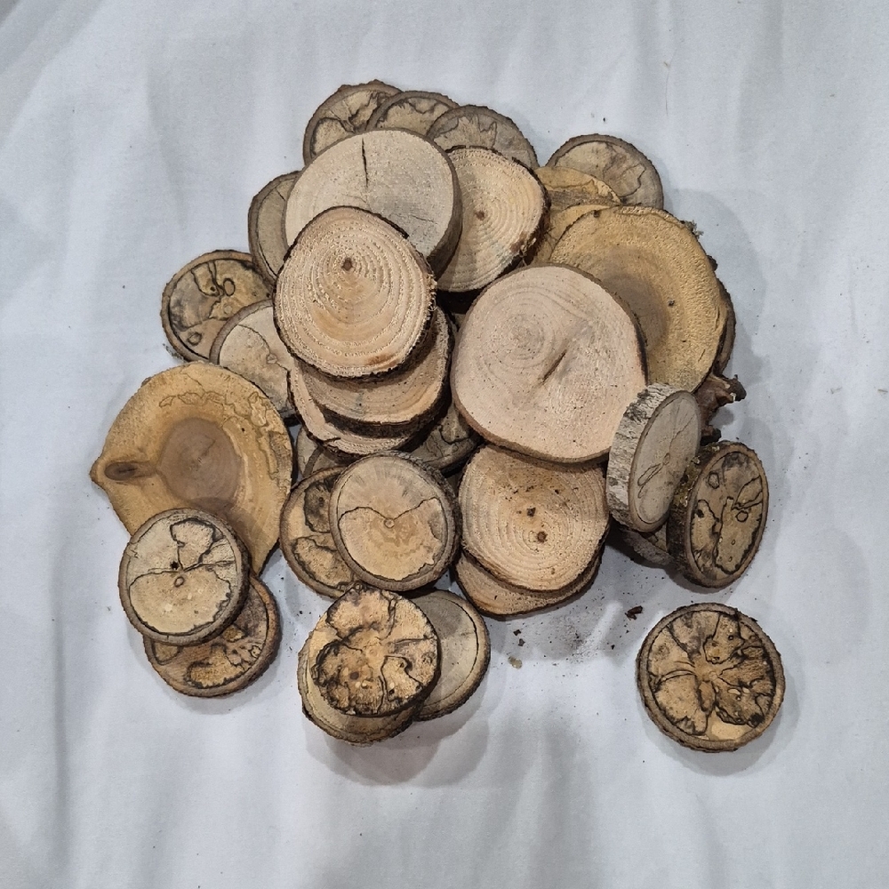 Natural Wood Slices Approximate 60 + for Crafts Rustic Decor